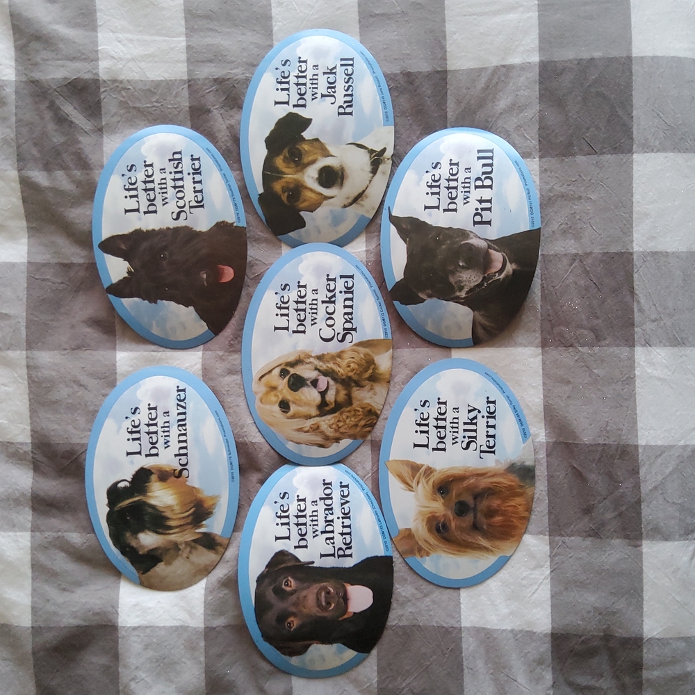 FREE w any Bundle Car Magnets
